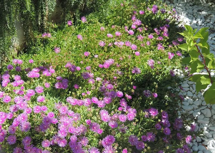 아파트 Doris 포레치