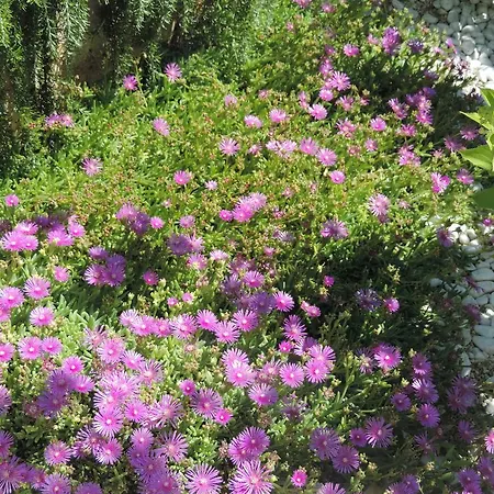 Appartement Doris Poreč